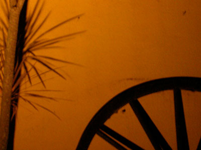 FDotografia Freelance